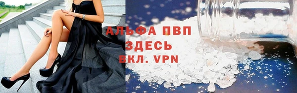 стаф Волосово