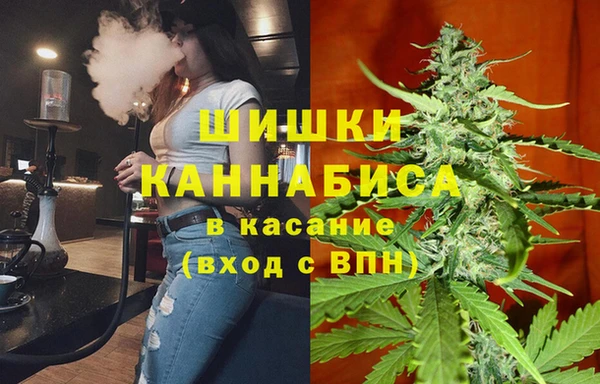 стаф Волосово