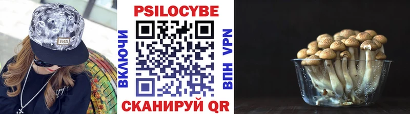 купить   Искитим  Псилоцибиновые грибы Magic Shrooms 